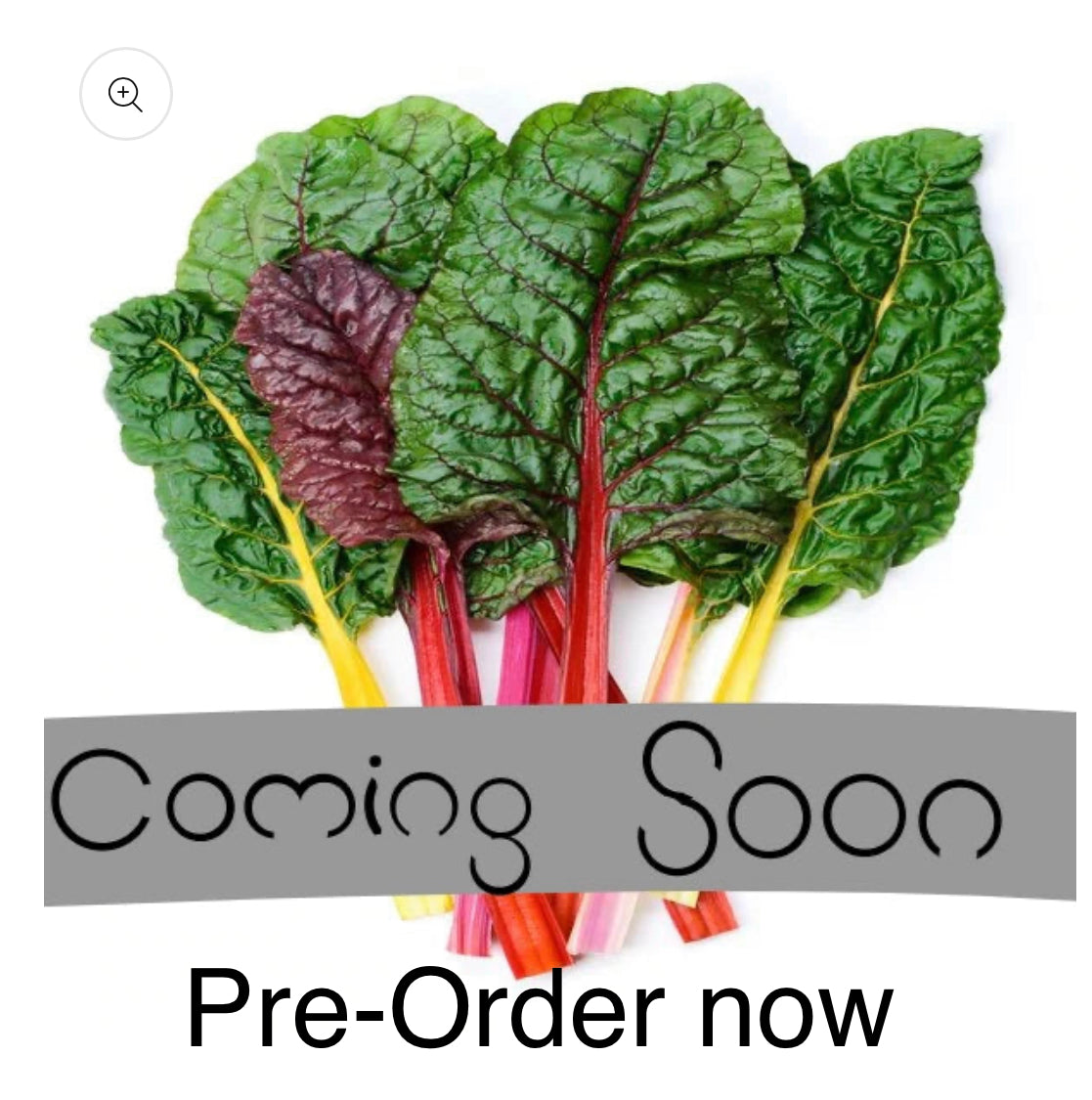 Organic Swiss Chard bunch