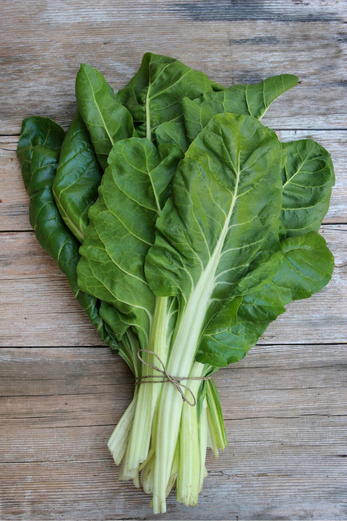 Organic Swiss Chard bunch