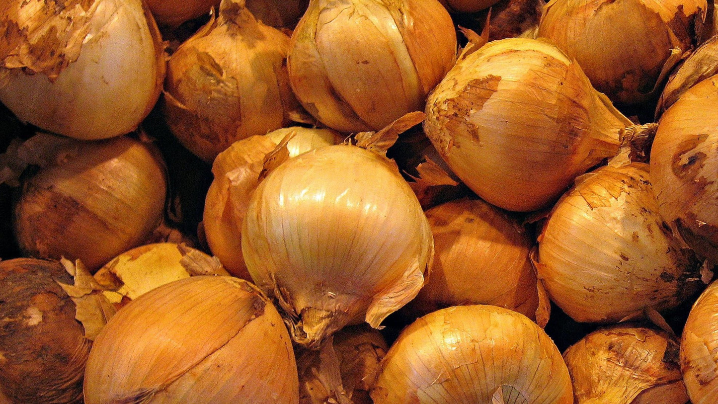 Organic Onions: £2.50 per kg