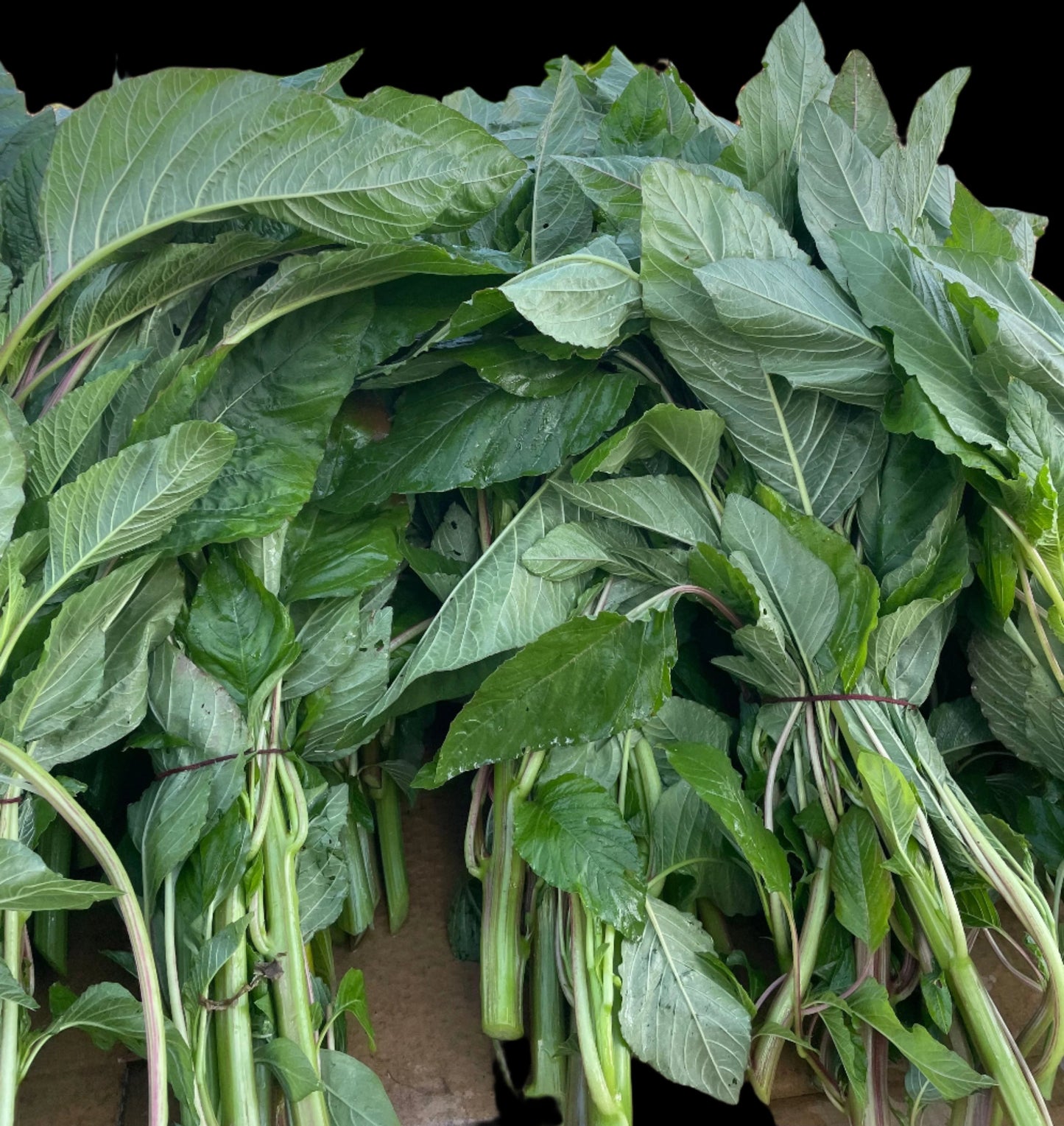 Organic Calaloo