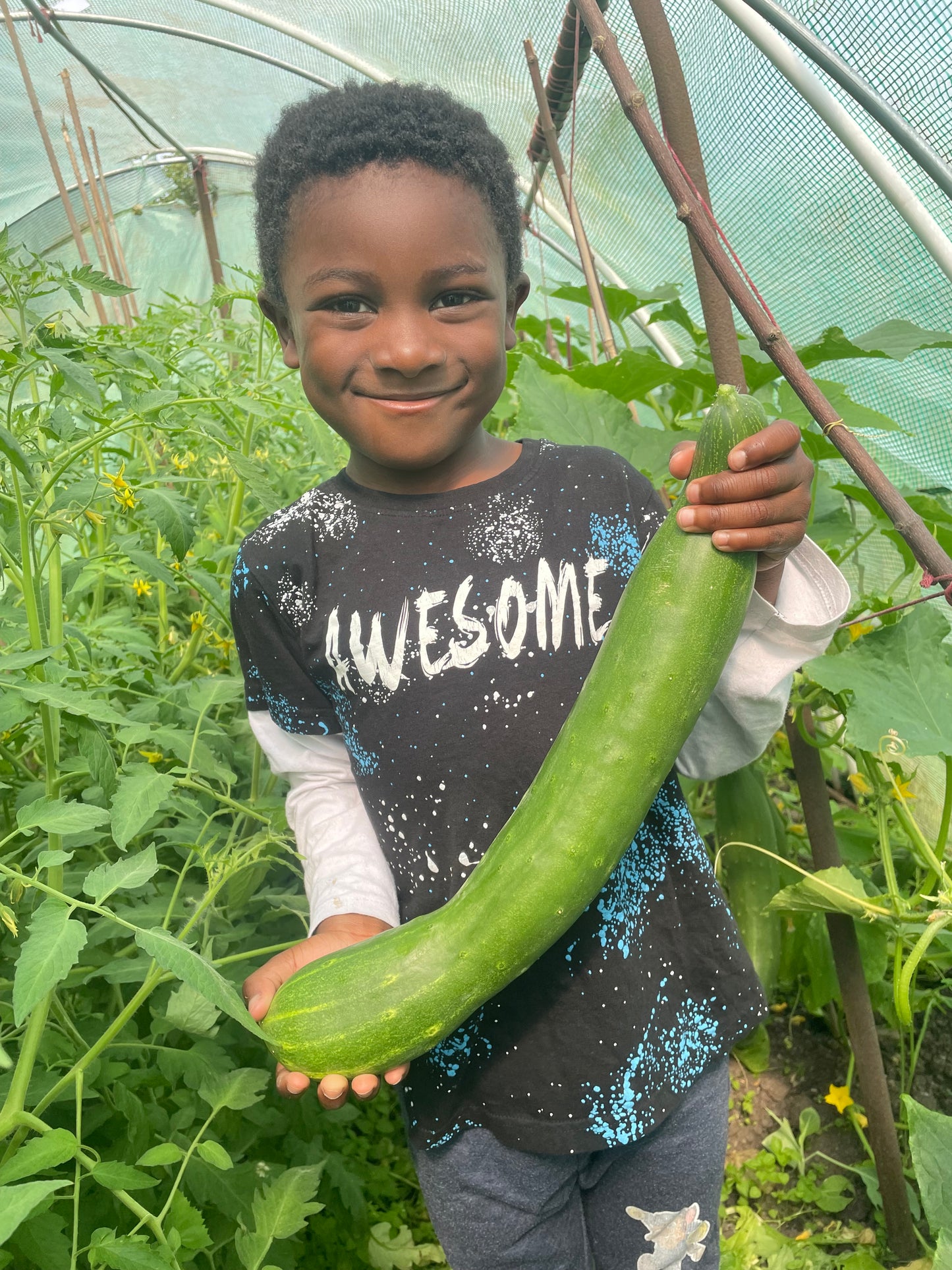 Organic cucumber