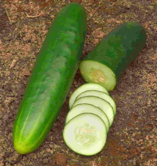 Organic cucumber